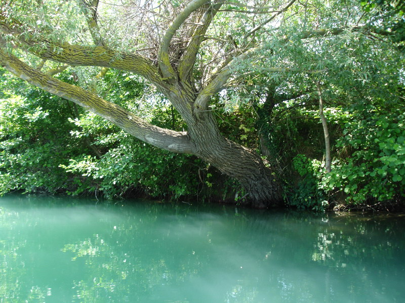  Izlet na reku Aheron 